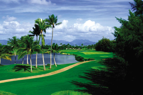 Punahou Alumni! Cool Off With Us At This Year's Golf Tournament